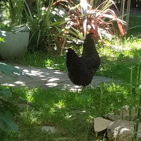 La Biro Pornic